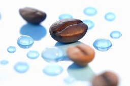 Coffee beans with drops of water