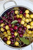 Various types on cherries in a colander