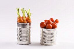 Frische Möhren und Tomaten in Konservendosen