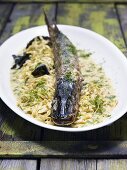 A whole hake on a bed of pasta in a creamy herb and dill sauce