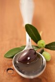 A spoonful of olive oil with a black olive and an olive sprig