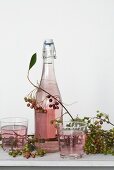Chokeberry juice (aronia syrup wit mineral water)