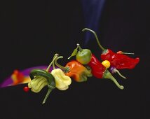 Various types of chillies