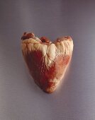 A calf's heart