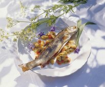 Fried trout on rhubarb and peppers