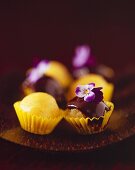 Mango truffles with chocolate sauce in petit four cases