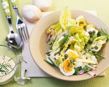 Lettuce with egg, radishes, apple and yoghurt dressing