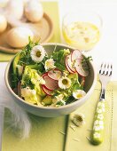 Kopfsalat mit Avocado, Radieschen, Kresse und Gänseblümchen