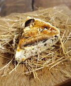 Piece of mushroom quiche on hay