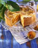 Aprikosen-Mandel-Torte mit Buttermilch