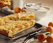 Aprikosen-Quark-Kuchen (Dellenkuchen)