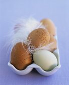 Eggs in an egg holder with feathers