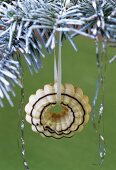 Aniseed ring hanging on a fir branch