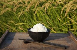 A bowl of rice in front of a rice paddy