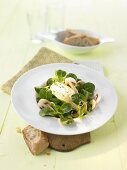 Feldsalat mit gehobelten Champignons und Frischkäsenocke