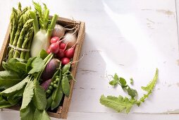 Various types of vegetables in a box