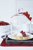 A waffle with cream and redcurrants under a cloche
