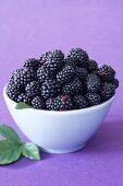 Blackberries in white bowl