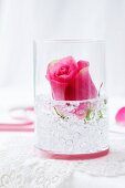 A rose in a glass with decorative stones