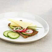 Cheese, radishes, cucumber and chives on wholemeal bread