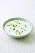 Cold yoghurt and cucumber soup with dill