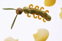 Caterpillar made with pasta, nutmeg etc.