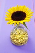 Sunflower oil with sunflower seeds and sunflower