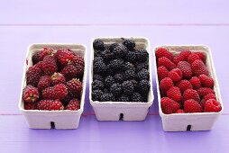 Tayberries (raspberry-blackberry cross), blackberries and raspberries