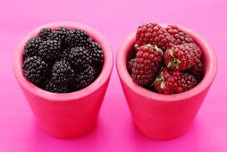 Blackberries & Tayberries (cross between raspberry & blackberry)