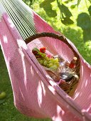 Picnic basket in hammock