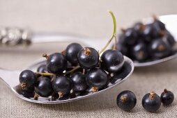 Blackcurrants on two spoons
