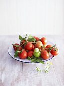 Tomatoes on the vine in fruit bowl