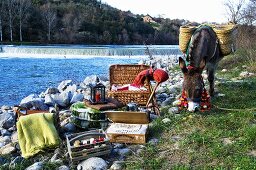 Picnic basket and donkey by river