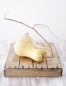 Butternut squash on wooden box