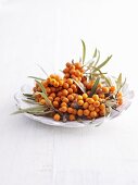 Sea buckthorn berries in dish