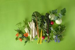Various types of spring vegetables with herbs