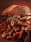 Schokoladenpralinen, Kakaobohnen, Schokoröllchen und Kakaofrüchte