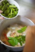 Putting vegetables into pan (Thailand)