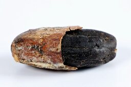 A cocoa bean