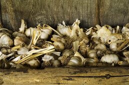 Garlic drying in a wooden box