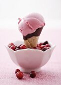 Cranberry ice cream cone in dish of fresh cranberries
