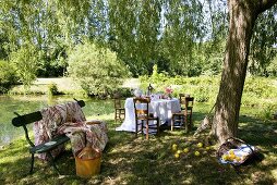 Laid table by pond in romantic garden