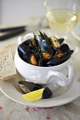 Steamed mussels in white wine