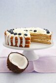 Coconut cake with blueberries