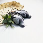 Two unplucked pigeons with bunch of herbs