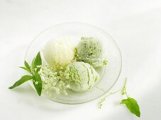 Elderflower- and sorrel ice cream, lemon verbena and lemon sorbet