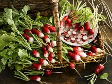 Radishes in a basket and on a plate