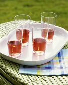 Rosé wine for picnic