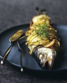 Sea bass in potato crust with fennel leaves