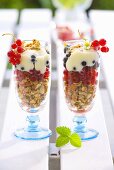 Muesli with fresh berries and vanilla yoghurt